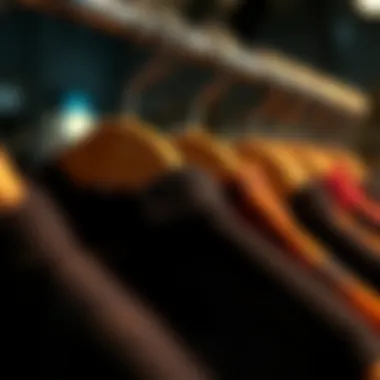 Sustainable Materials in Clips Eco-friendly materials used in plastic clips