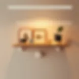 Elegant suction cup shelf displaying modern decor