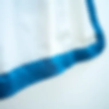 Close-up detail of blue trim on white shower curtain