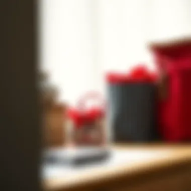 Chic Decluttering Ideas Chic decluttering ideas using wrap and bag organizers